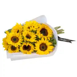 Vibrant Sunflowers