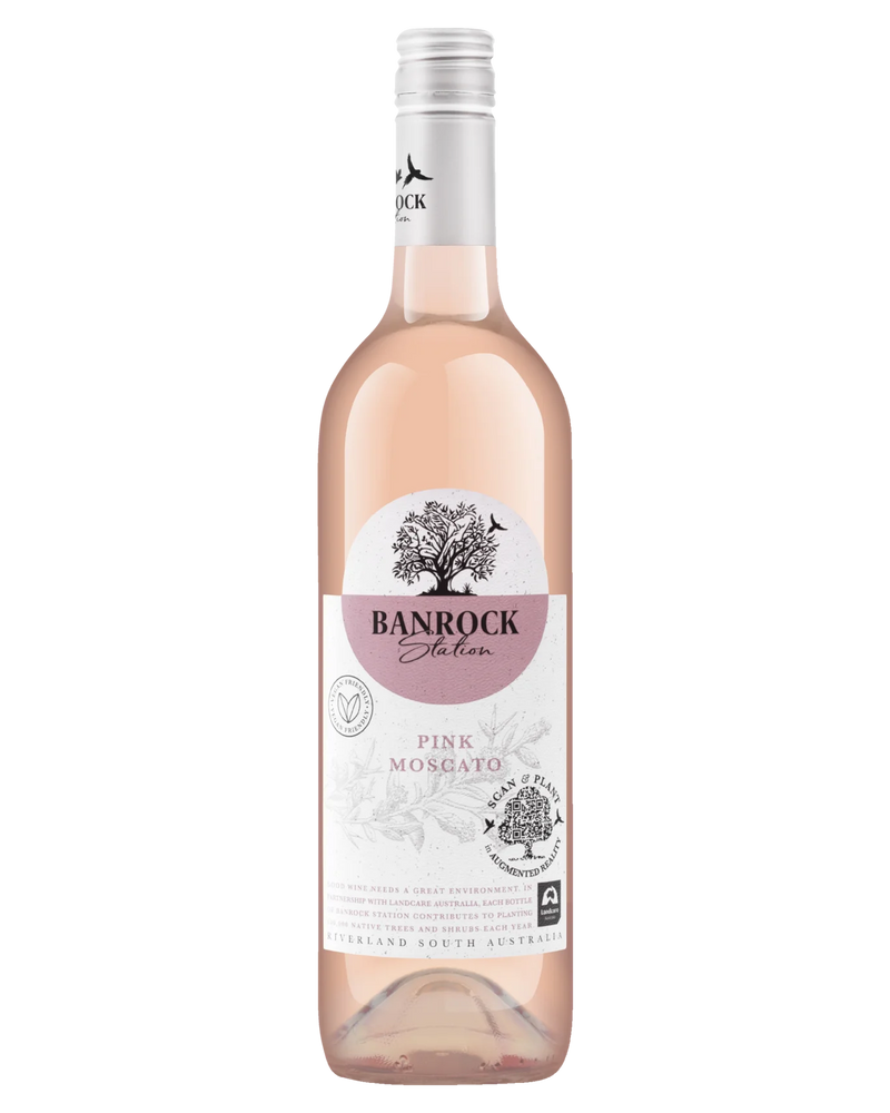 
                  
                    Wine Bottle - White
                  
                