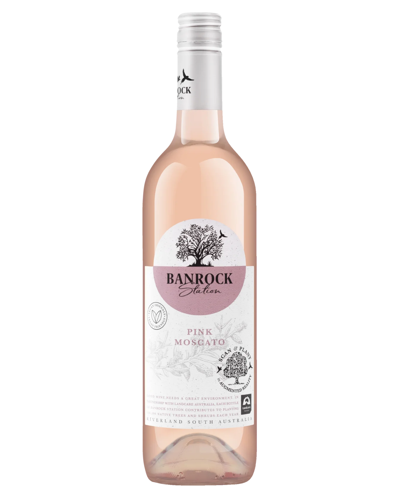 
                  
                    Wine Bottle - White
                  
                