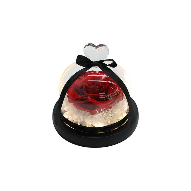 Amore Forever Rose LED Heart Cloche Red Blooming Gorgeous Valentine's Day