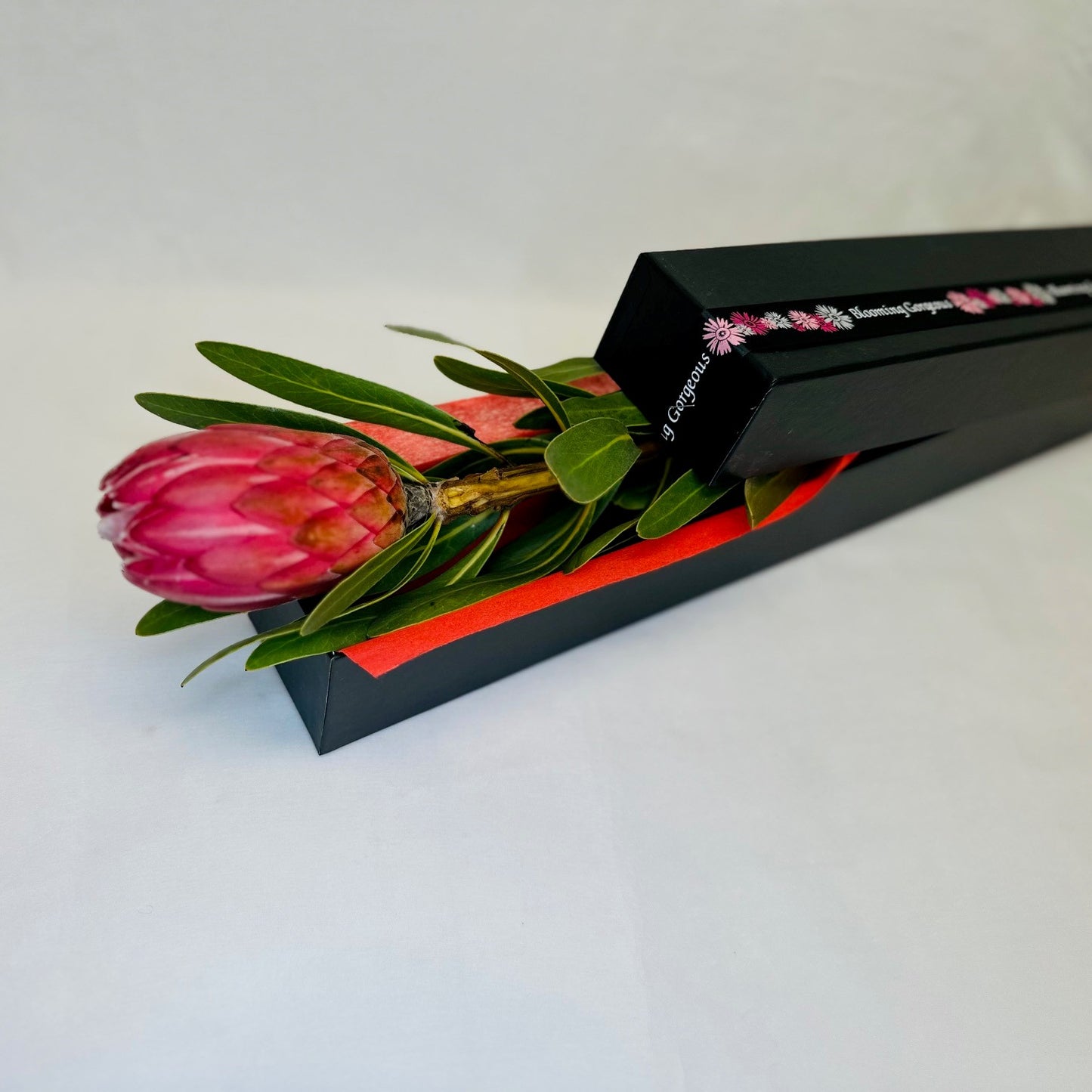 Native Protea First Kiss Blooming Gorgeous Valentine's Day