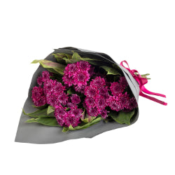 Scorpio - Chrysanthemum Flower Bouquet Blooming Gorgeous