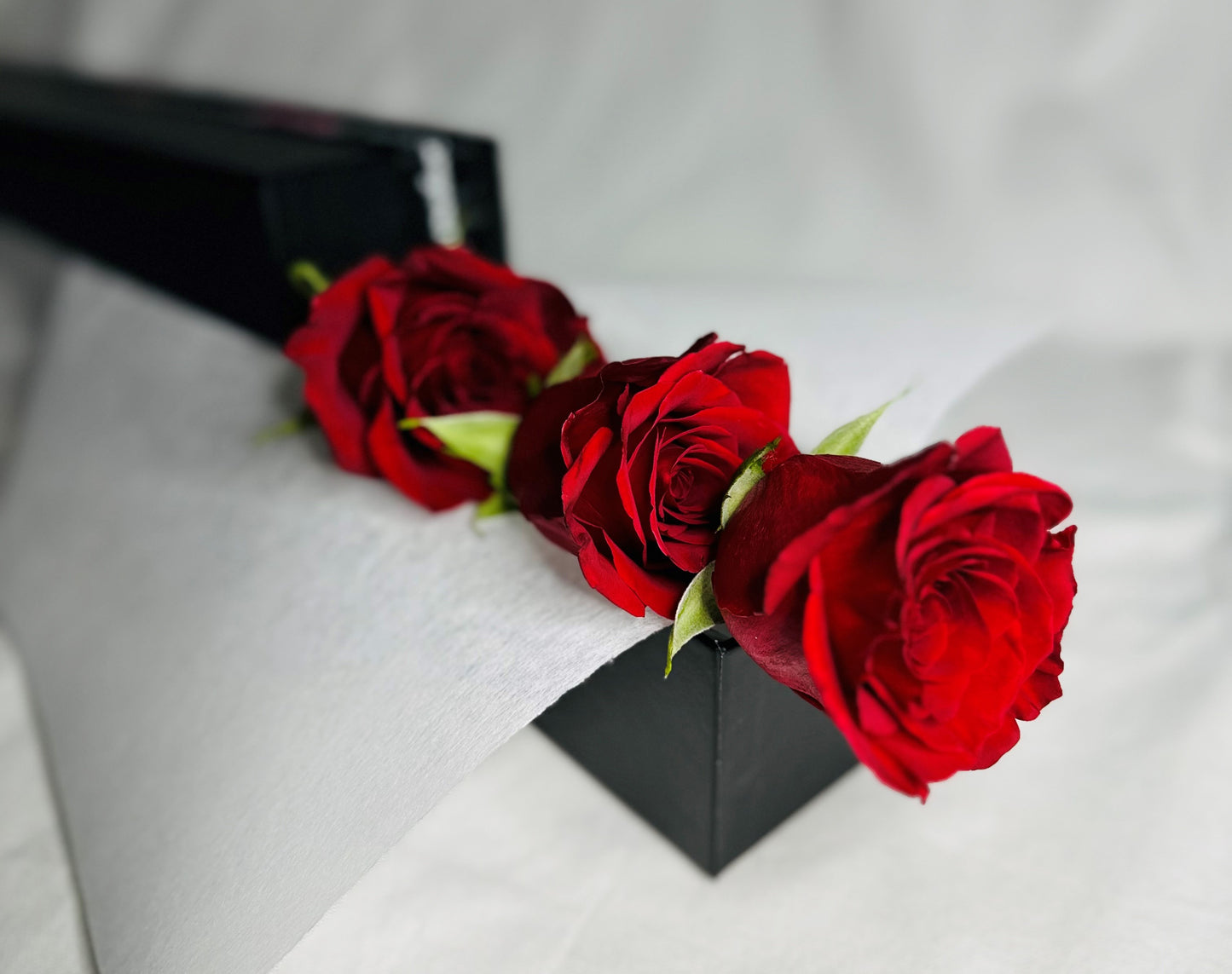 First Kiss 3 Red Roses Blooming Gorgeous