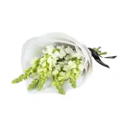 Snapdragon Spectacular Bouquet Blooming Gorgeous