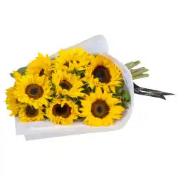 Vibrant Sunflowers Blooming Gorgeous
