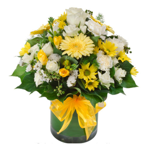 Lemon Yellow - Blooming Gorgeous