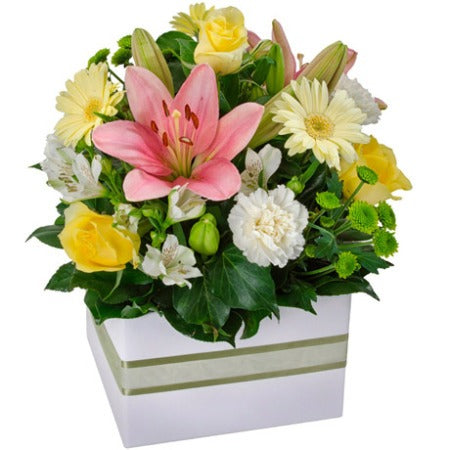 Sophia - Blooming Gorgeous