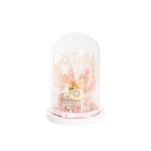 Preserved Assorted Flower Cloche (12Wx20cmH)