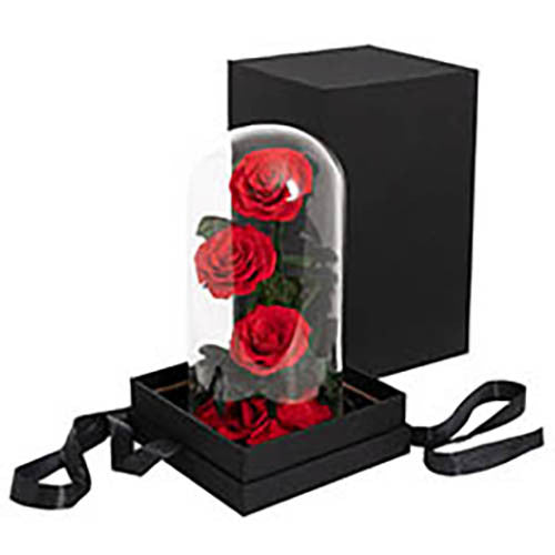 Preserved 3 Stem Rose Cloche Red (30x15cm)