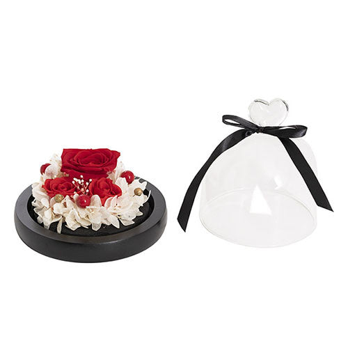
                  
                    Preserved 3 Rose Head Cloche Red & Pink (12.2x13.5cm)
                  
                