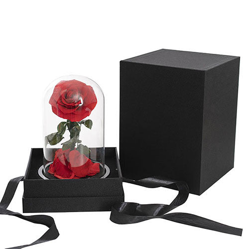 LED Preserved Single Stem Rose Cloche Red (12.3Wx20cmH)
